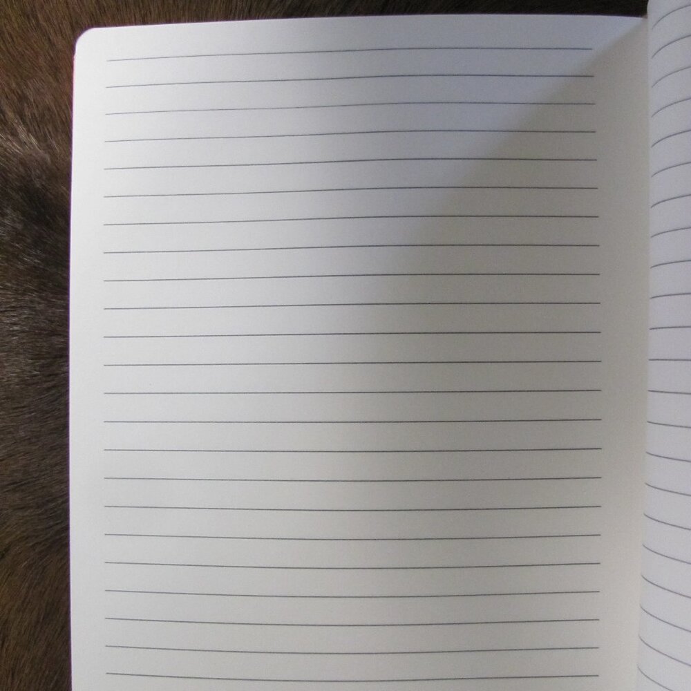 THRESHOLD STAY PAWSITIVE BLANK JOURNALS NWT - Picture 4 of 4